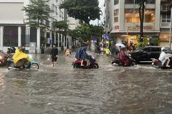 Thông tin cải chính, xin lỗi