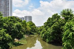 Sông Nhuệ trước ngày cải tạo