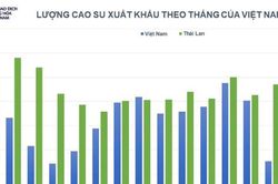 Thị trường hàng hóa nguyên liệu khởi sắc