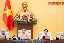 Đề xuất sửa 10 luật: Giảm thời gian thực hiện, phân quyền 21 thủ tục cho địa phương