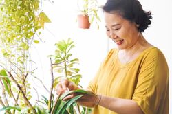 Đừng đợi nghỉ hưu mới lo: 3 điều quyết định tuổi già sung túc hay chật vật