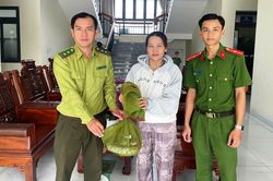 Người dân An Giang chủ động giao nộp động vật hoang dã