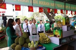 Khánh Hòa: Quảng bá, kết nối tiêu thụ, mở rộng chuỗi liên kết sản xuất nông sản