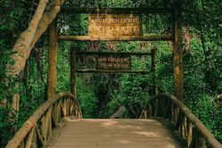 Vì một miền quê đáng sống: Xẻo Quýt đẹp nguyên sơ - 'Hồn cốt' Đồng Tháp Mười