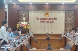 EVNNPT và ADB thẩm định tài trợ vốn ODA cho dự án đường dây 500 kV Bình Định - Krông Buk