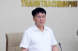 K&eacute;o d&agrave;i thời gian giữ chức Ph&oacute; Tổng Thanh tra Ch&iacute;nh phủ