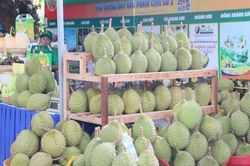 Khai mạc Tuần lễ nông sản và sản phẩm OCOP tỉnh Khánh Hòa năm 2026