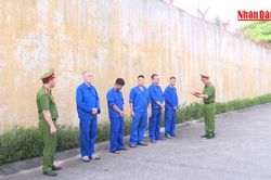[Video] Ninh B&igrave;nh triệt ph&aacute; đường d&acirc;y c&aacute; độ b&oacute;ng đ&aacute; hơn 710 tỷ đồng