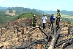 Quảng Trị xử lý, khắc phục tình trạng giấy chứng nhận quyền sử dụng đất của người dân sai lệch so hiện trạng