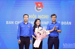 Thành lập Hội đồng Đội Trung ương khóa X, giai đoạn 2026-2031