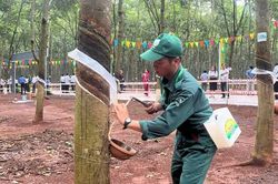 Cao-su Đồng Nai: Tôn vinh thợ giỏi, quyết tâm khai thác vượt mốc 32.000 tấn mủ