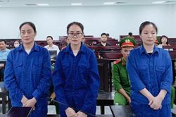 Kéo chị gái, em dâu cùng… đi tù!