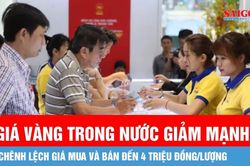 Sáng 17-7, giá vàng trong nước giảm mạnh