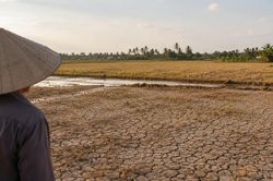 Dự báo El Nino có cường độ mạnh đến rất mạnh tại Việt Nam
