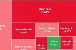 [VIDEO] VN-Index lao dốc gần 30 điểm, phiên giảm sâu nhất ba tháng