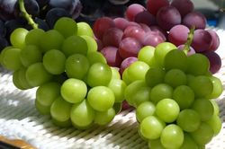 Nhật Bản khẩn cấp tăng cường 'lá chắn' pháp lý cho các giống cây quý vì một lý do