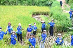 Gần 100 sinh viên Bắc Ninh mang 'Mùa hè xanh' lên vùng biên giới