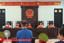 Dùng đất thừa kế 'ảo' lừa đảo 7 người, chiếm đoạt 688 triệu đồng