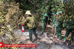 Khống chế nhanh vụ cháy rừng tại xã Phú Vinh