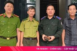 Người dân tự nguyện giao nộp cá thể rùa vàng quý hiếm