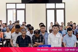 Tụ tập đánh bài liêng xuyên đêm, 12 bị cáo lĩnh án