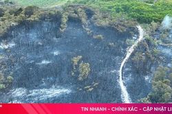 Khống chế thành công vụ cháy vùng tràm ở xã Thạch Khê