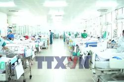 Sức khoẻ nạn nh&acirc;n vụ lật can&ocirc; tại Ph&uacute; Quốc đang chuyển biến t&iacute;ch cực