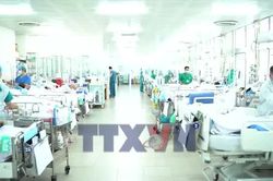 Sức khỏe nạn nhân vụ lật canô tại Phú Quốc đang chuyển biến tích cực