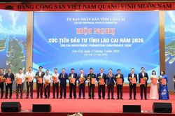 Lào Cai trao quyết định đầu tư cho 24 dự án