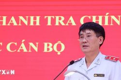 Kéo dài thời gian giữ chức Phó Tổng Thanh tra Chính phủ đối với ông Lê Sỹ Bảy