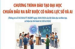 Chương trình đào tạo đại học: Chuẩn đầu ra bắt buộc có năng lực số và AI