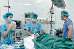 Vụ ô tô khách lao khỏi cao tốc: Nhiều nạn nhân đa chấn thương đang được cấp cứu