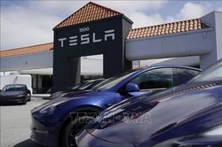 Mỹ buộc Tesla phải sửa lỗi đèn pha gây chói cho gần 20.000 xe