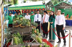 Kết nối tiêu thụ nông sản, mở rộng chuỗi liên kết sản xuất OCOP