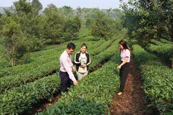 Tín dụng chính sách: Điểm tựa vững chắc giúp đồng bào Sơn La thoát nghèo
