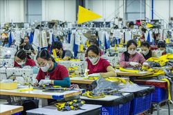 Kinh tế Việt Nam 6 tháng đầu năm: Chuyển dịch từ 'lượng' sang 'chất' qua góc nhìn ADB