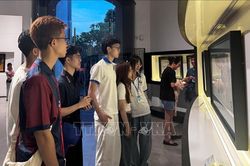 Trại hè Việt Nam 2026: Tôn vinh tiếng Việt, gắn kết cội nguồn