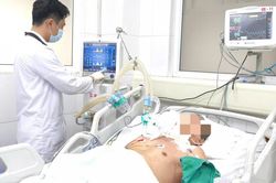 Cụ ông 94 tuổi nguy kịch sau khi bị gà mổ vào chân