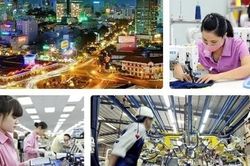 Doanh nghiệp tiên phong cần trở thành lực lượng dẫn dắt