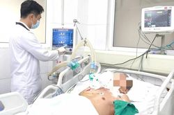 Bị gà mổ, cụ ông 94 tuổi suýt mất mạng
