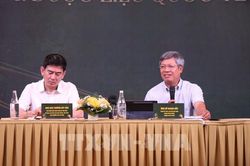 Đà Nẵng lần đầu tổ chức lễ hội sâm Ngọc Linh và dược liệu quốc tế