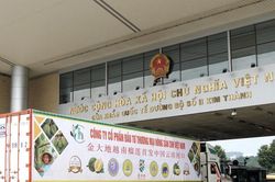Hỗ trợ xuất mặt hàng tỷ đô của Việt Nam, Hải quan tăng tốc thông quan cả ngày nghỉ