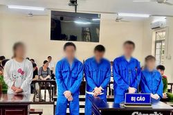Tuyên án đường dây mua bán, tổ chức sử dụng trái phép chất ma túy