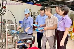 Khuyến công Tuyên Quang tiếp sức doanh nghiệp đổi mới công nghệ