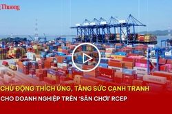 Chủ động thích ứng, tăng sức cạnh tranh cho doanh nghiệp trên 'sân chơi' RCEP