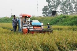 Khi người nông dân trở thành 'chiến sĩ khí hậu'
