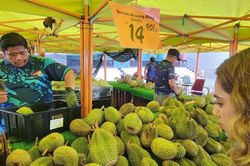 Sầu ri&ecirc;ng dư thừa, Malaysia t&iacute;nh mở tuyến đường bộ sang Trung Quốc để 'giải cứu' thị trường