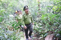 Bắc Ninh: Kéo giảm vi phạm, gỡ khó xử lý tang vật lâm nghiệp
