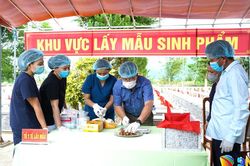 Quế Phước triển khai lấy mẫu ADN, số h&oacute;a 1.635 phần mộ liệt sĩ