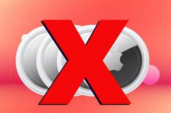 Mẹo bảo vệ thú cưng: Tại sao không nên dùng Apple AirTag để theo dõi vị trí?